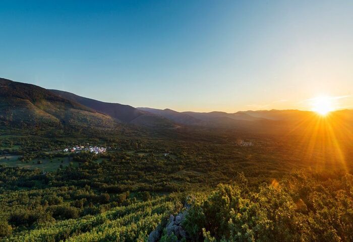 Actividades Fiesta Tadicional Retama