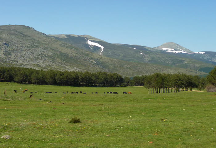 Parque nacional escanpado