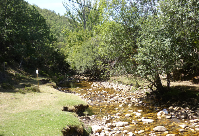 Reserva de la Biosfera Sierra del Rincón-rio jarama
