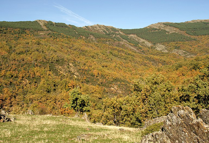 RReserva de la Biosfera Sierra del Rincón-puebla