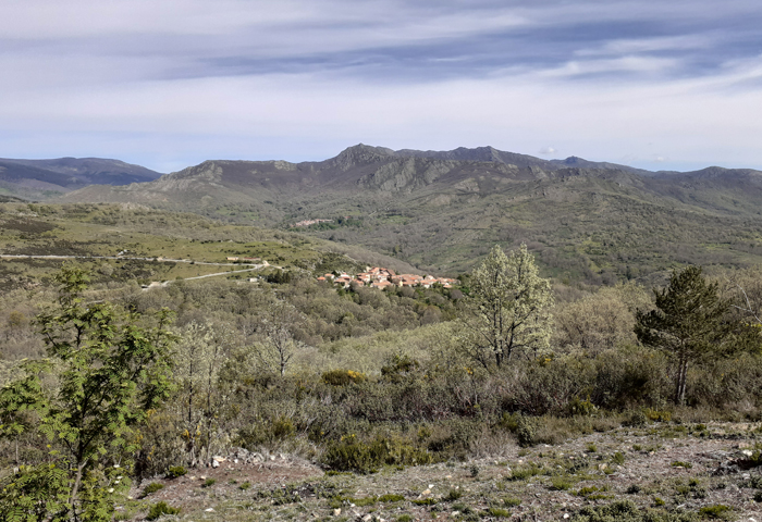 Reserva de la Biosfera Sierra del Rincón-dehesa hiruela