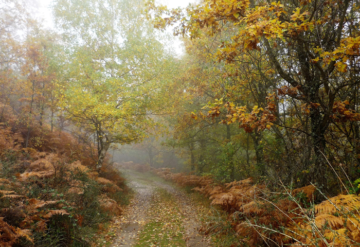 rutas de otoño