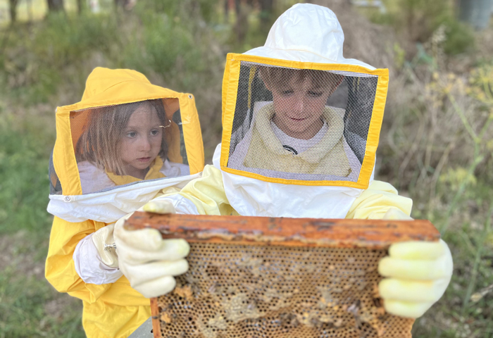apicultor por 1 día