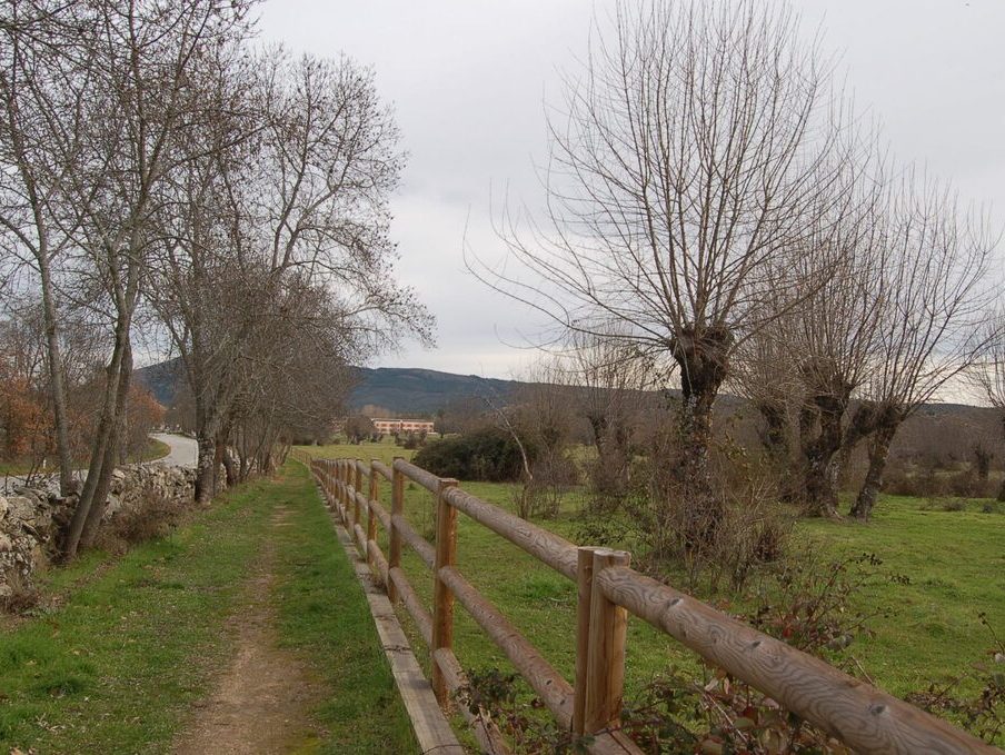 la dehesa de el berrueco 4 2048x1358 1 e1719479785222