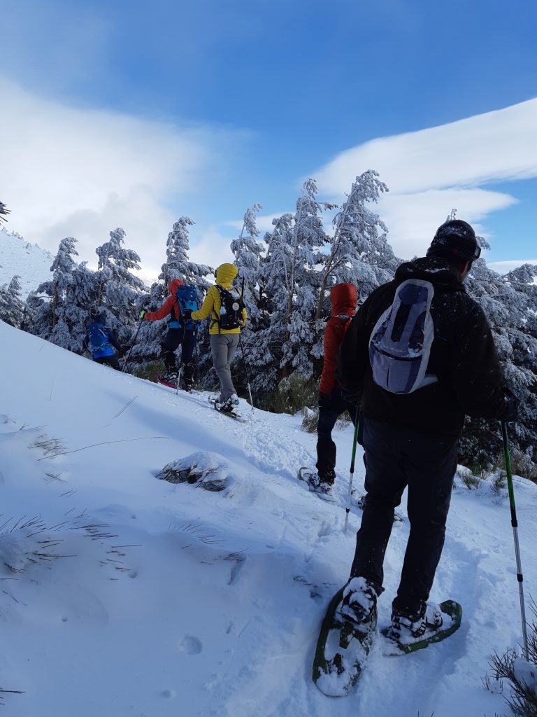 raquetas de nieve