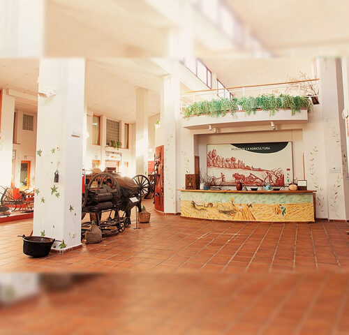 museo-regional-agricultura-torremocha