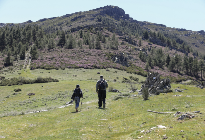 Personas caminado por el monte