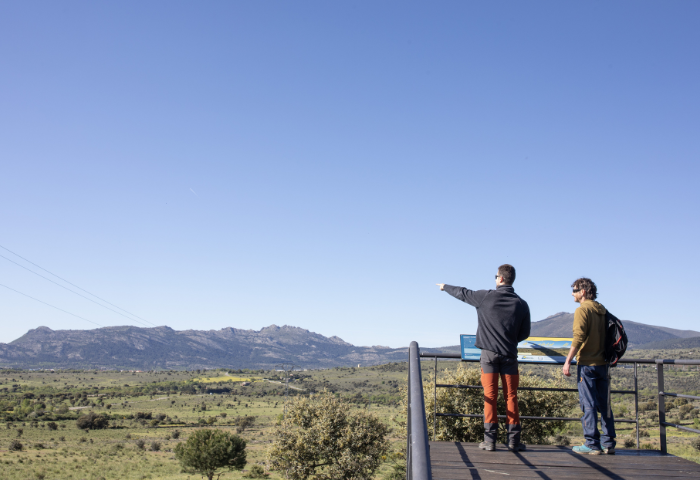 Personas mirando el horizonte