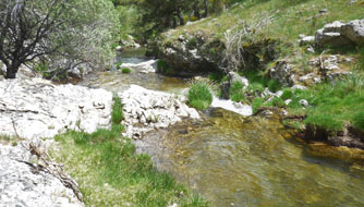 agua web