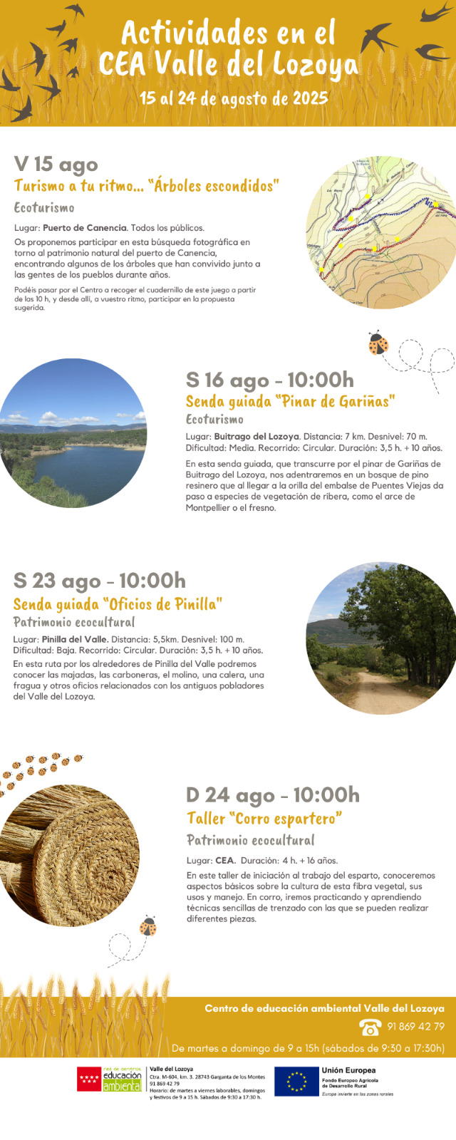 IMG 20250806 WA00021