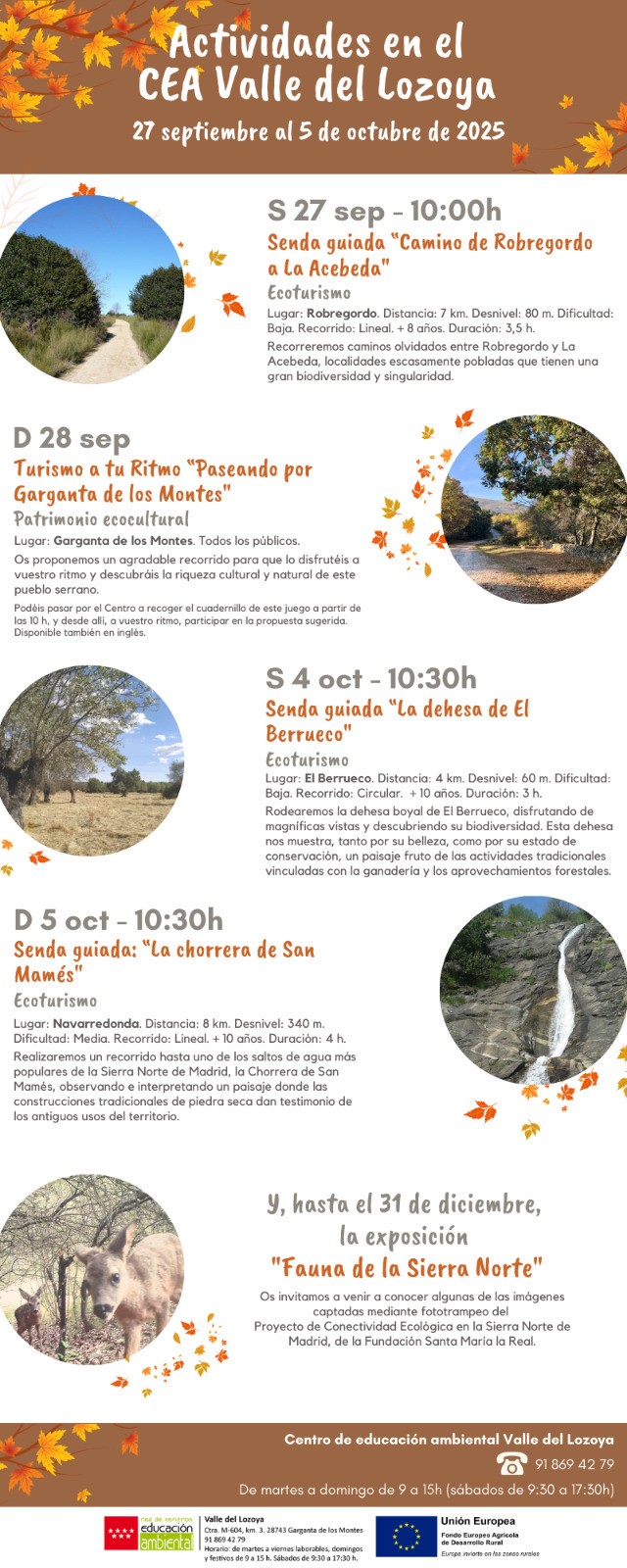 cea cuadron sep