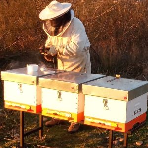 IMG_20240121_175504_244_2