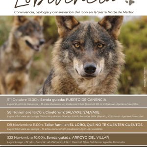 Lobivencia - Cinefórum: SALVAXE, SALVAXE 90 WhatsApp Image 2025 10 01 at 13.15.35