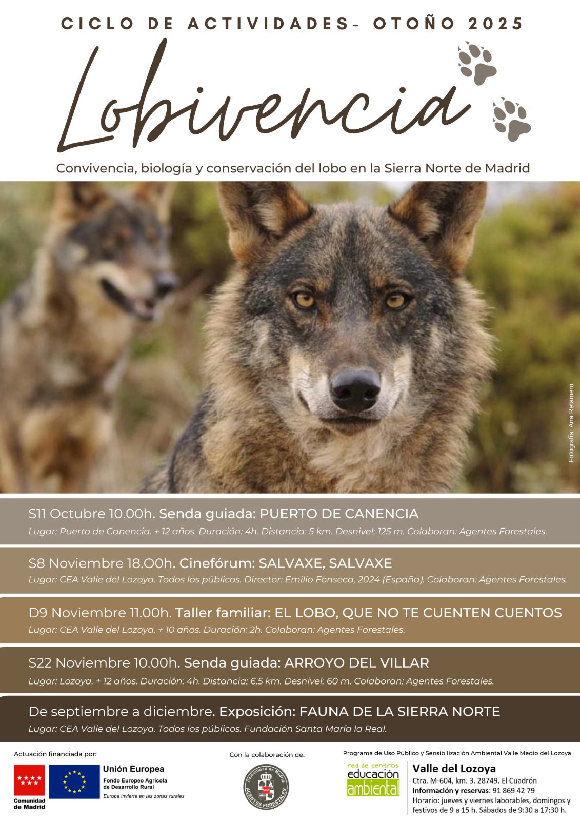 WhatsApp Image 2025 10 01 at 13.15.35