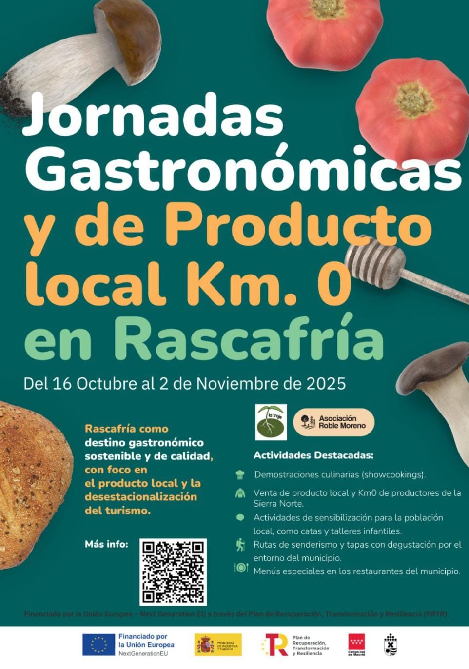 WhatsApp Image 2025 10 21 at 15.10.11