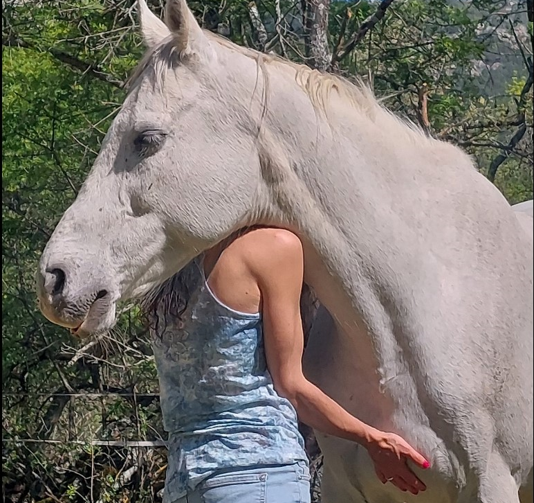 Foto abrazo con caballos