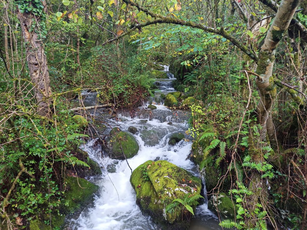 Rutasdemarchanordica Caminarte