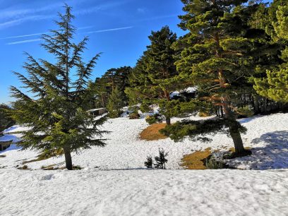 Los mejores secretos de invierno de la Sierra Norte de Madrid