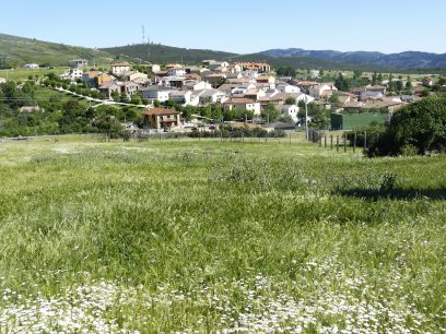 Robledillo de la Jara: Prepárate para enamorarte de la micología en la Sierra Norte de Madrid