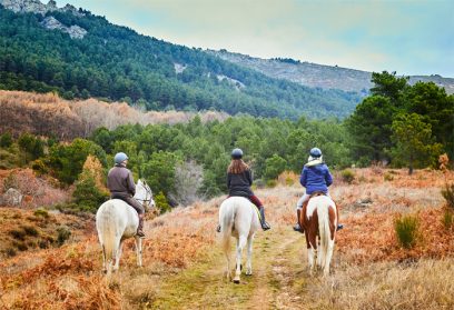 Las 6 mejores rutas a caballo por la Sierra Norte de Madrid