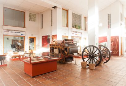Museo de la Agricultura. Visita para Grupos