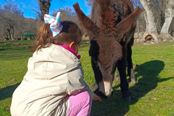 niña junto a un burro
