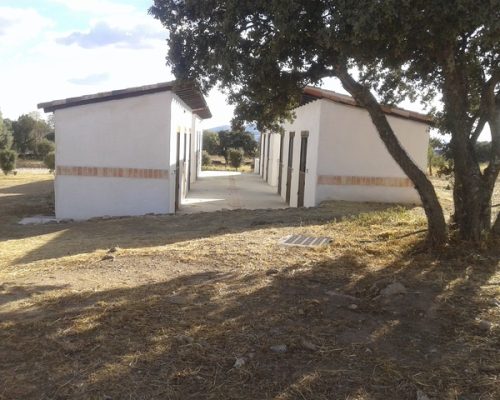 trotes-hípica