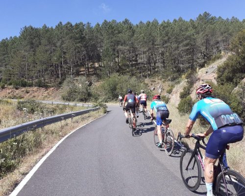 Ciclistas en la carretera montando sus bicicletas bajo un cielo despejado.