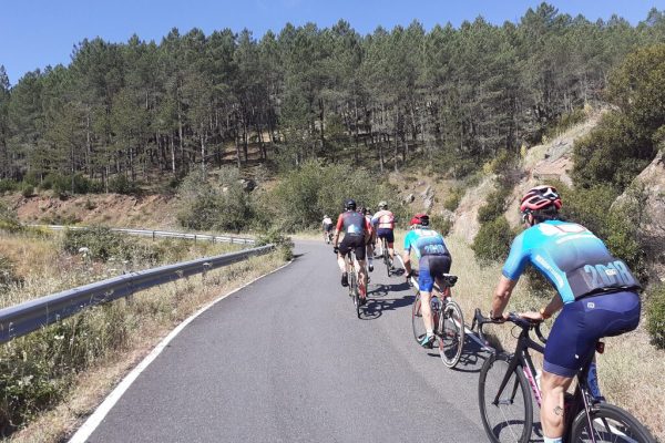 Ciclistas en la carretera montando sus bicicletas bajo un cielo despejado.