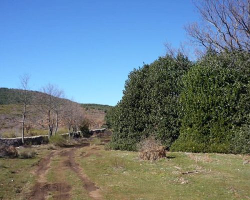 Acebeda-de-Robregordo