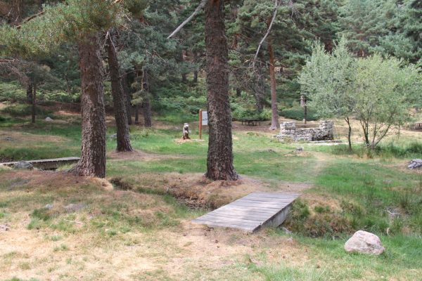 Area_Recreativa_Puerto_de_Canencia_02