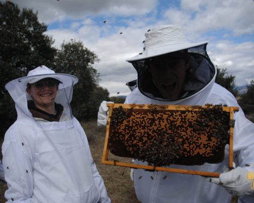 Arikiapicultura2
