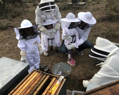 Arikiapicultura3