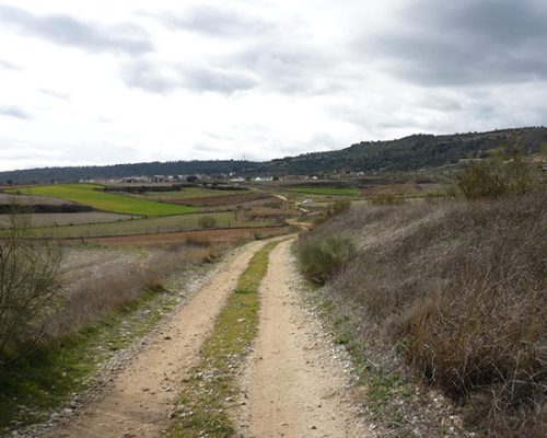 Vista de un camino de tierra rodeado de campos y colinas, conocido como Camino Mendocino.