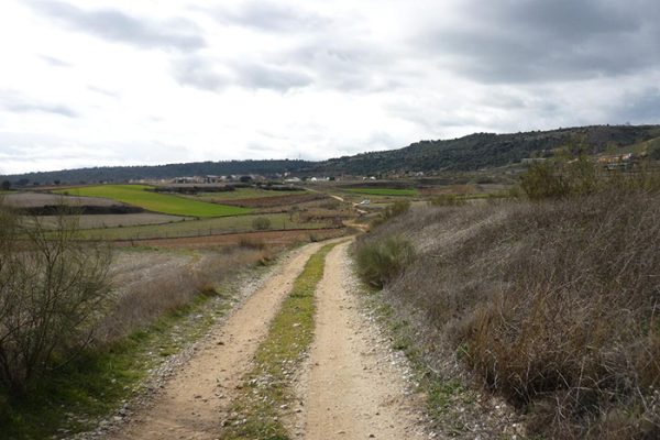 Vista de un camino de tierra rodeado de campos y colinas, conocido como Camino Mendocino.