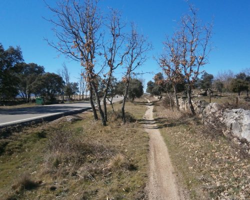 Camino al lado de la carretera