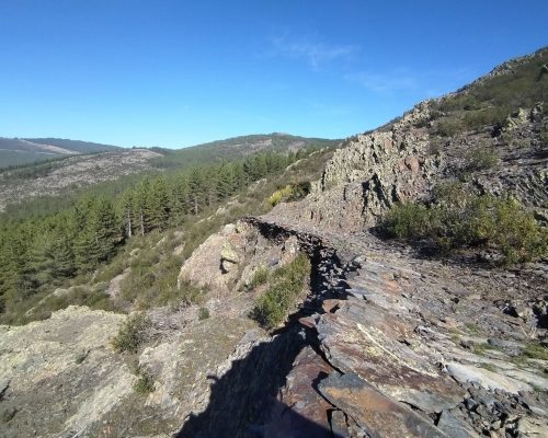 Camino de piedras y el bosque de fondo