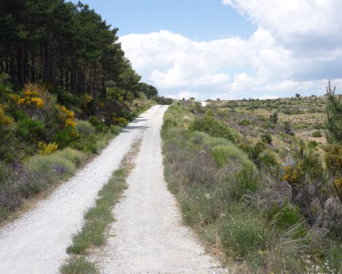 Camino marcas ruedas