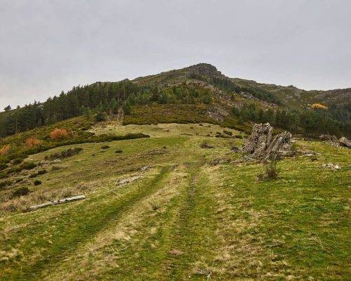 Camino verde de Cerro de Salinero