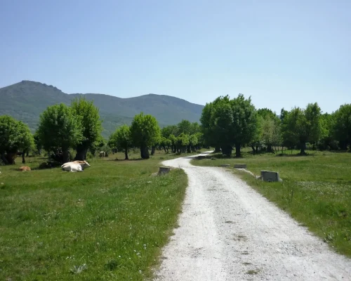 Camino por la ruta natural del valle del lozoya