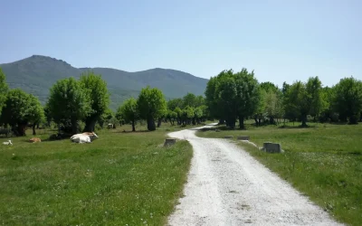 Camino por la ruta natural del valle del lozoya