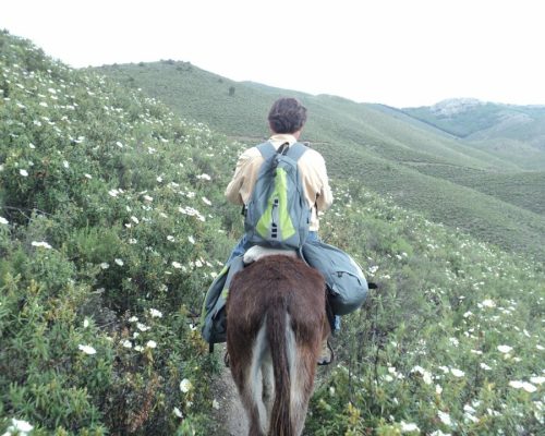 Paseo por la ruta GR300