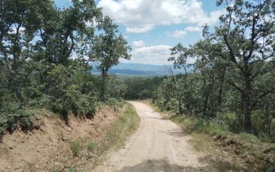 Camino ruta de tierra