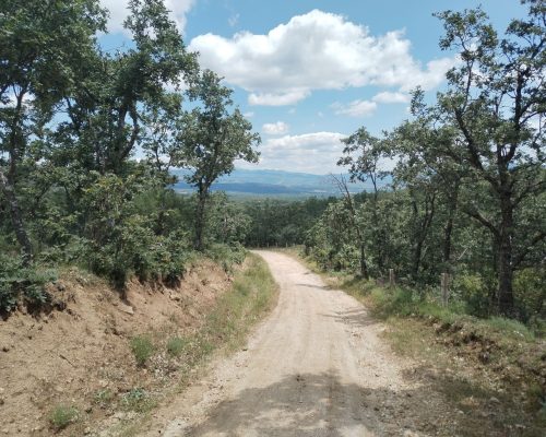 Camino ruta de tierra