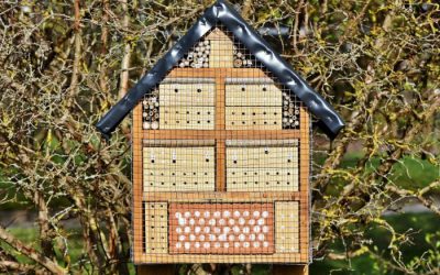 xr:d:DAFLjCYpjDc:96,j:1808552838,t:23011211