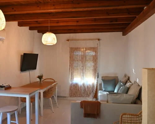 casa-antiguabotica-salon