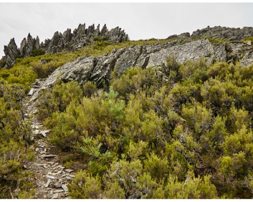 Cerro-del-Salinero-y-Porrejon1