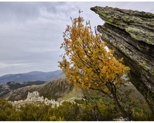 Cerro-del-Salinero-y-Porrejon6