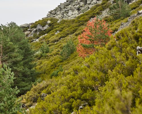 Cerro-del-Salinero-y-Porrejon7