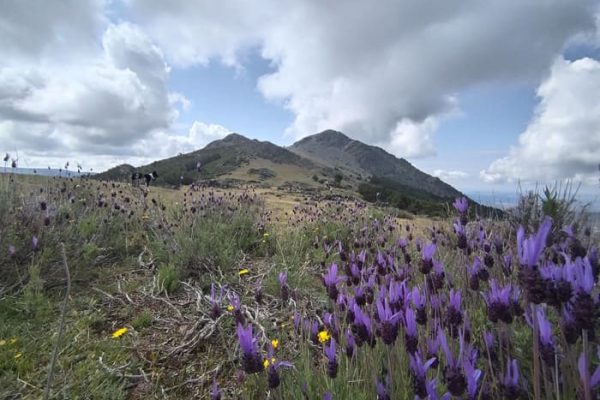Circular-Pena-la-Cabra1